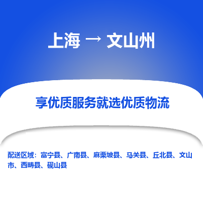 上海到文山州物流专线-上海至文山州物流公司-上海至文山州货运专线