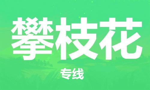 宜兴到攀枝花物流专线-宜兴市到攀枝花货运公司