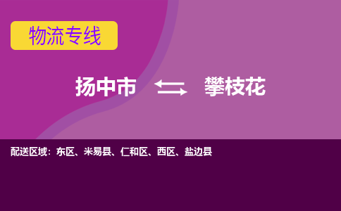 扬中到攀枝花货运|扬中市到攀枝花物流公司丨