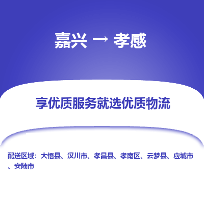 嘉兴到孝感市物流公司-专业团队/提供木架包装货运服务