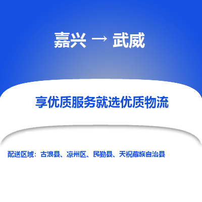 嘉兴到武威市物流公司-专业团队/提供木架包装货运服务