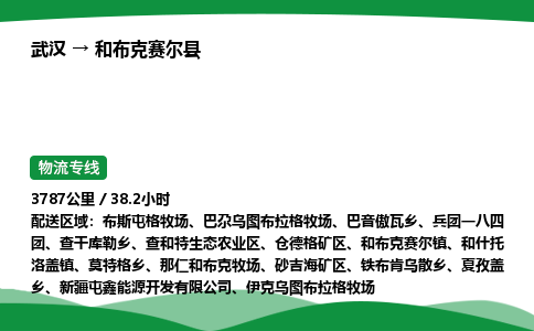 武汉到和布克赛尔县市物流公司-专业团队/提供包车运输服务